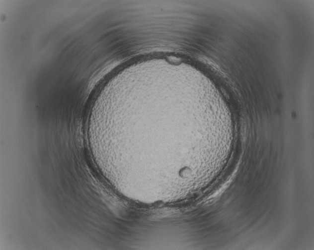 X0000068841113200605261633