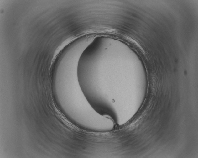 X0000068841114200605261633