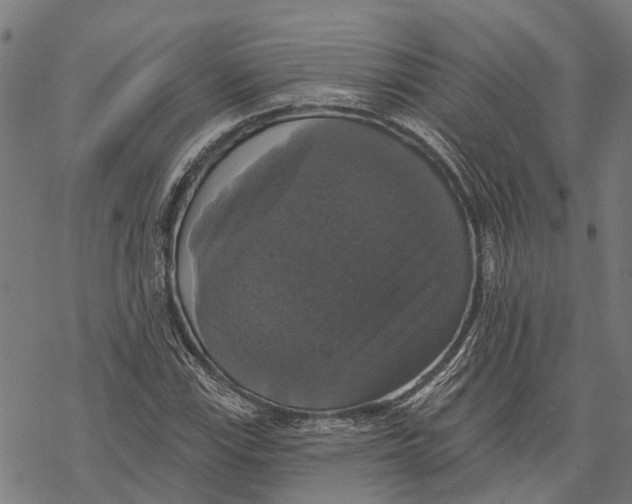 X0000068841115200605261633