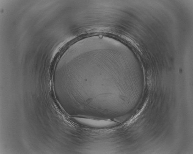 X0000068841117200605261633