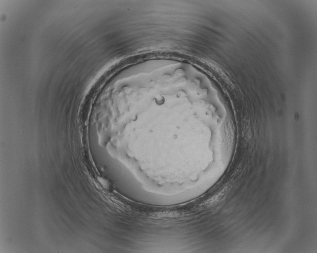 X0000068841118200605261633