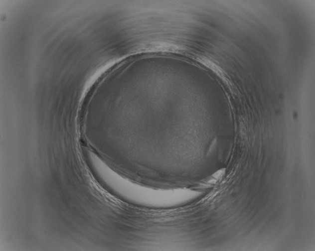 X0000068841120200605261634