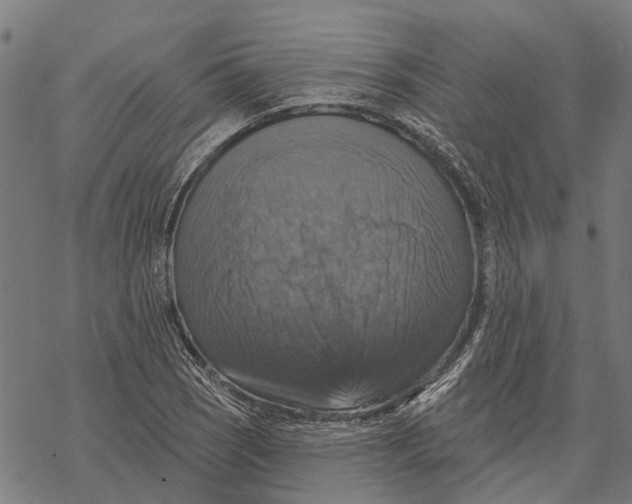 X0000068841121200605261634