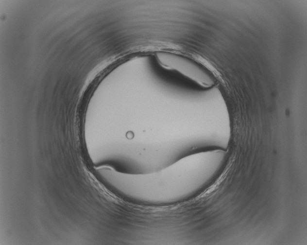 X0000068841122200605261634