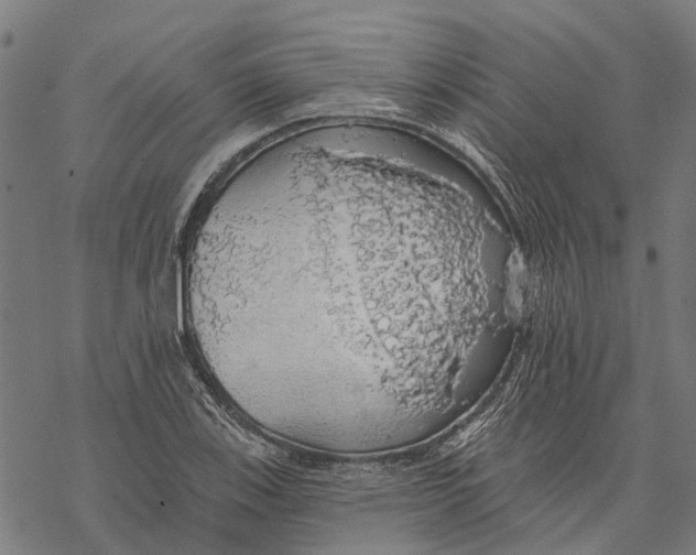 X0000068841123200605261634