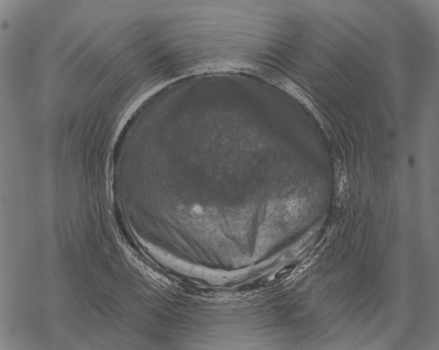 X0000068841124200605261634