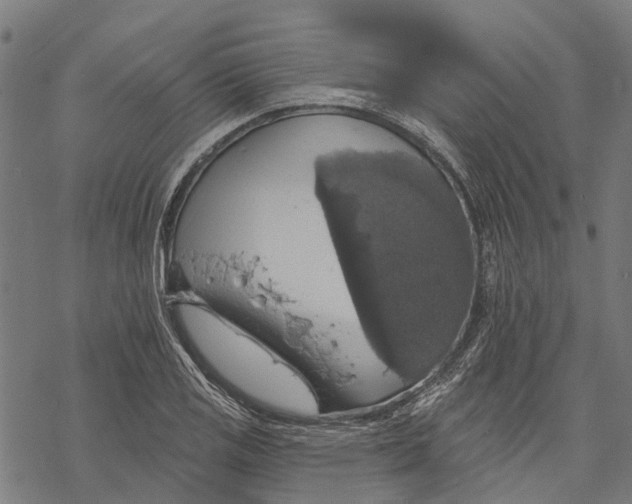 X0000068841125200605261634