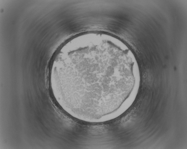 X0000068841126200605261634