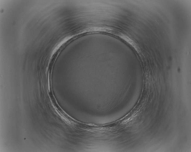 X0000068841127200605261634