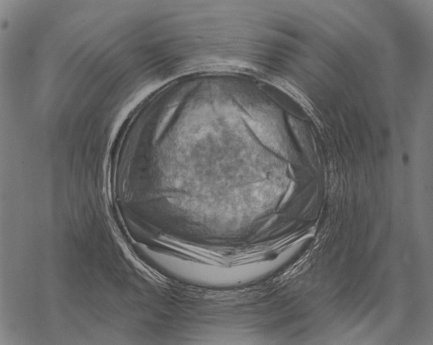 X0000068841128200605261634