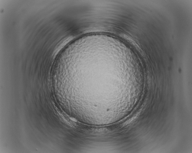 X0000068841129200605261634