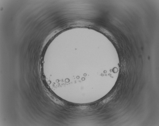 X0000068841130200605261634