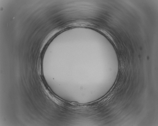 X0000068841131200605261634