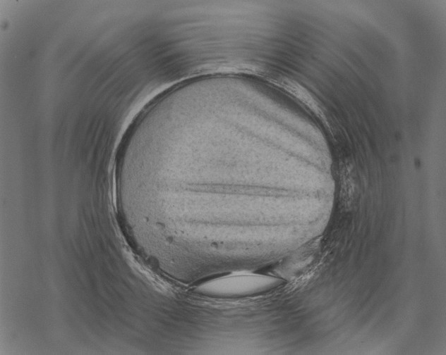 X0000068841132200605261634