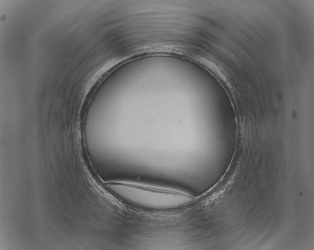 X0000068841133200605261634