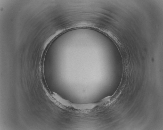 X0000068841134200605261634