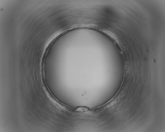 X0000068841135200605261634