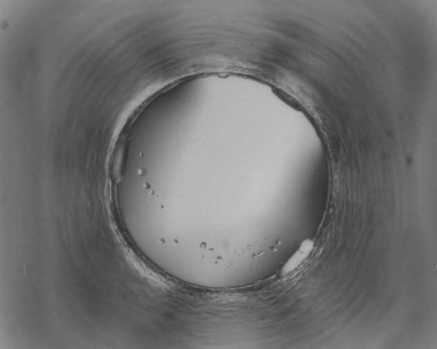 X0000068841136200605261634