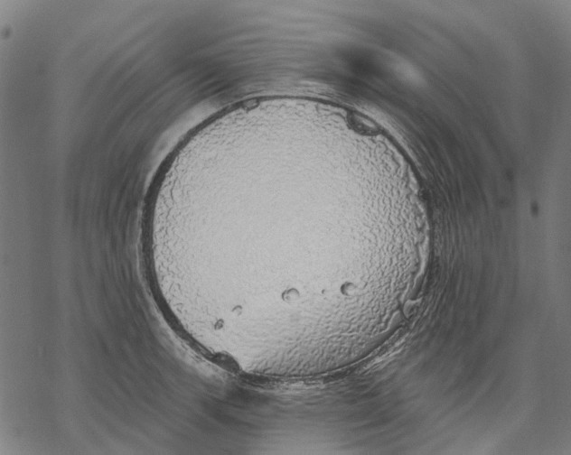 X0000068841139200605261634