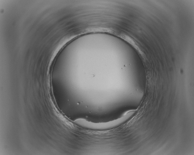 X0000068841140200605261634