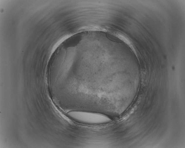 X0000068841141200605261634