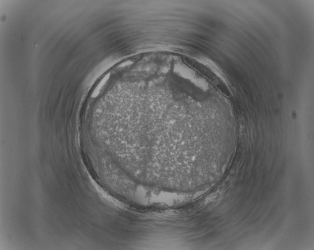 X0000068841143200605261634