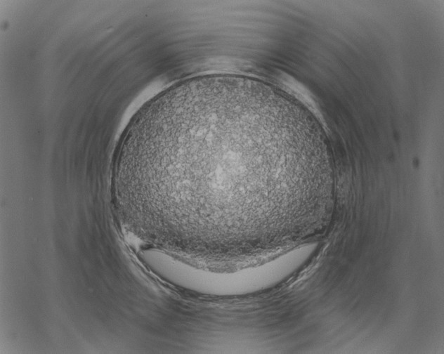 X0000068841146200605261634