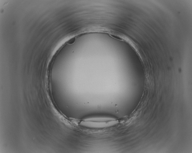 X0000068841147200605261634