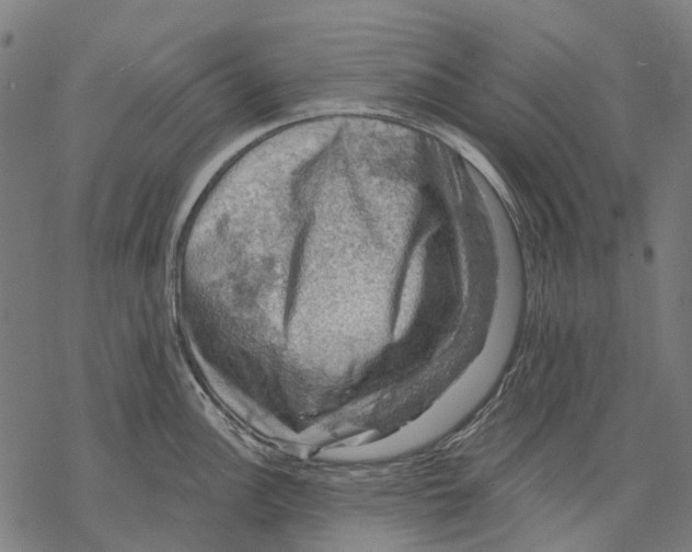 X0000068841148200605261634