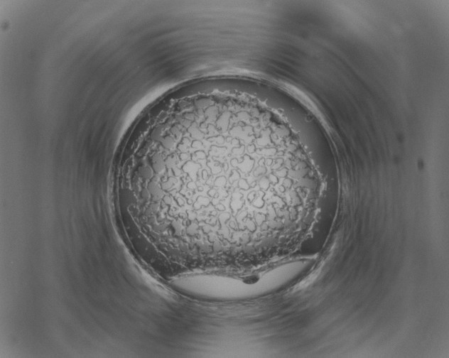 X0000068841149200605261634