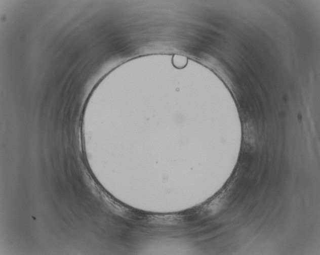 X0000068841150200605261634