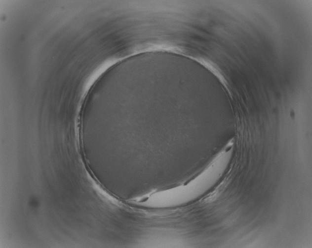 X0000068841151200605261634