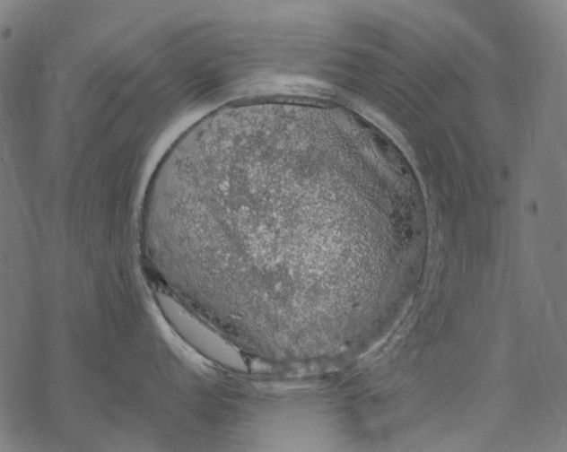 X0000068841152200605261634