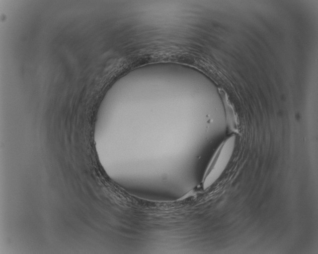 X0000068841153200605261633