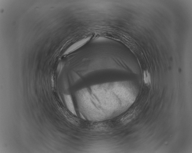 X0000068841155200605261633