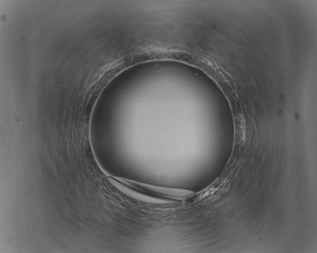 X0000068841157200605261633