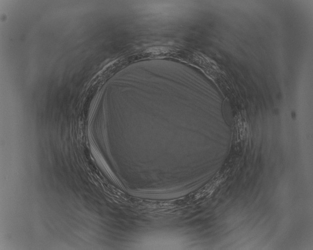 X0000068841158200605261633