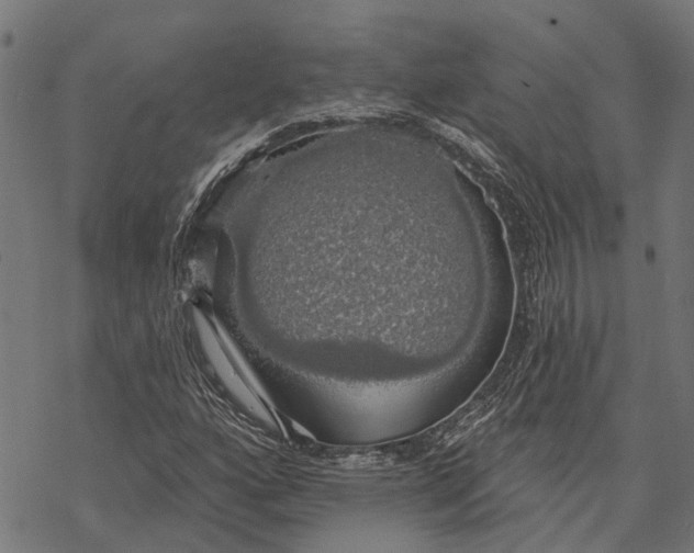 X0000068841160200605261633