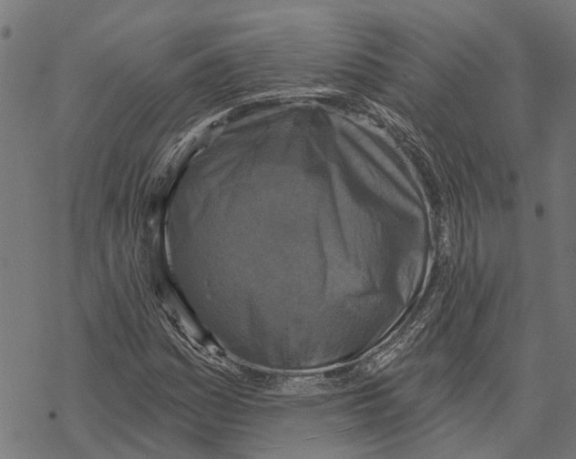 X0000068841161200605261633