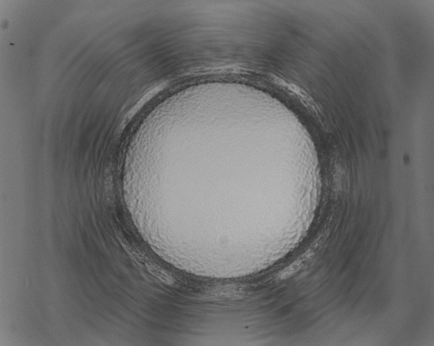 X0000068841162200605261633