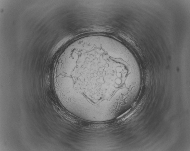 X0000068841163200605261633