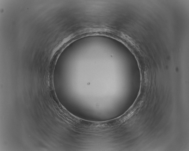 X0000068841165200605261633