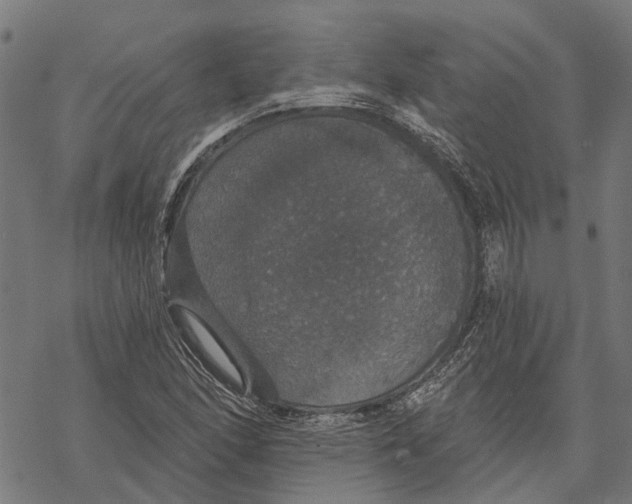 X0000068841166200605261633