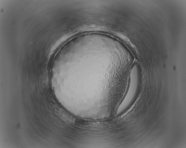 X0000068841167200605261633