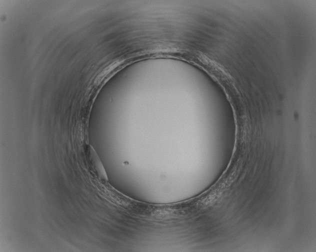 X0000068841169200605261633