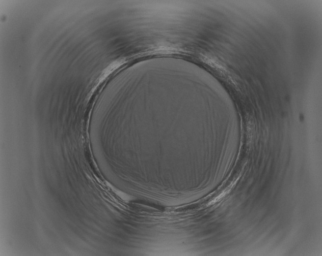 X0000068841170200605261633