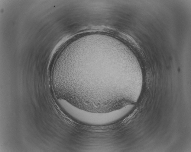 X0000068841172200605261633