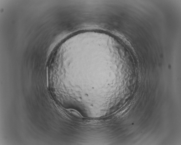 X0000068841175200605261633