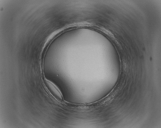 X0000068841176200605261633