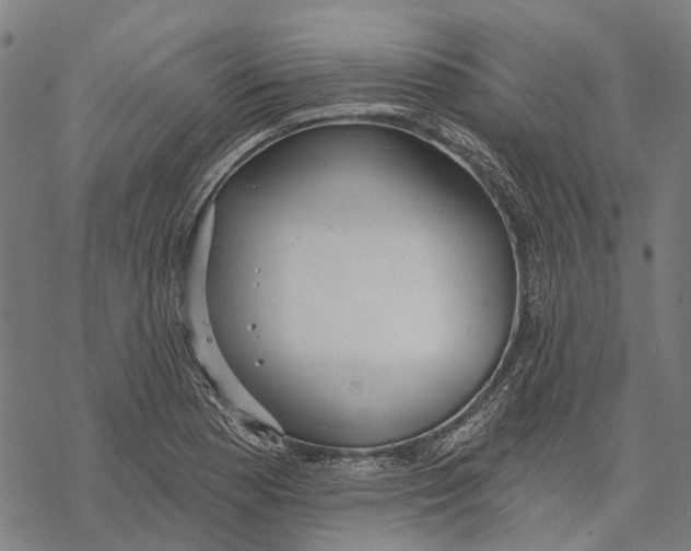 X0000068841177200605261633